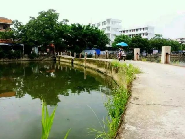 棉湖掠影, 古镇情怀