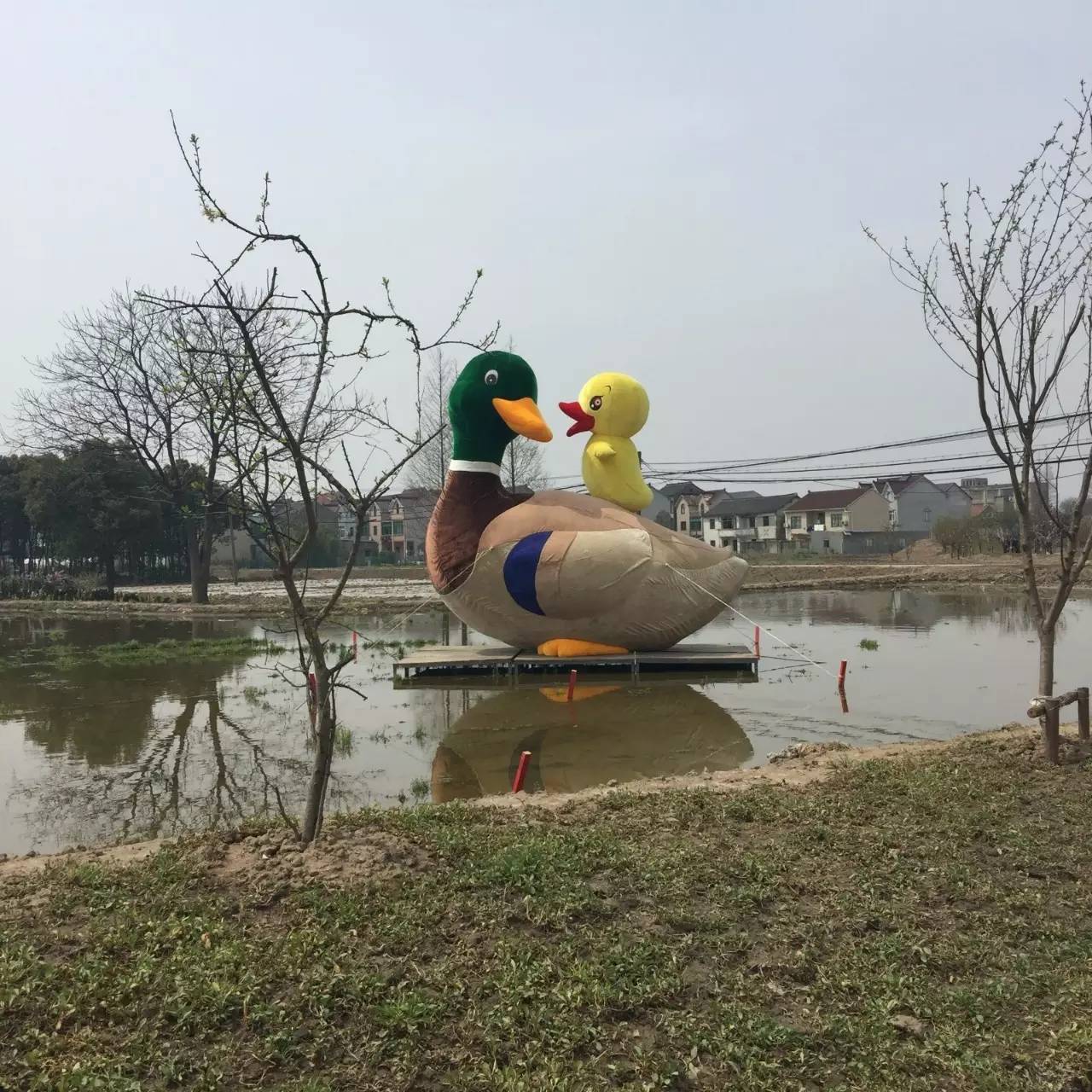 古镇之外的新场,或许更有新意