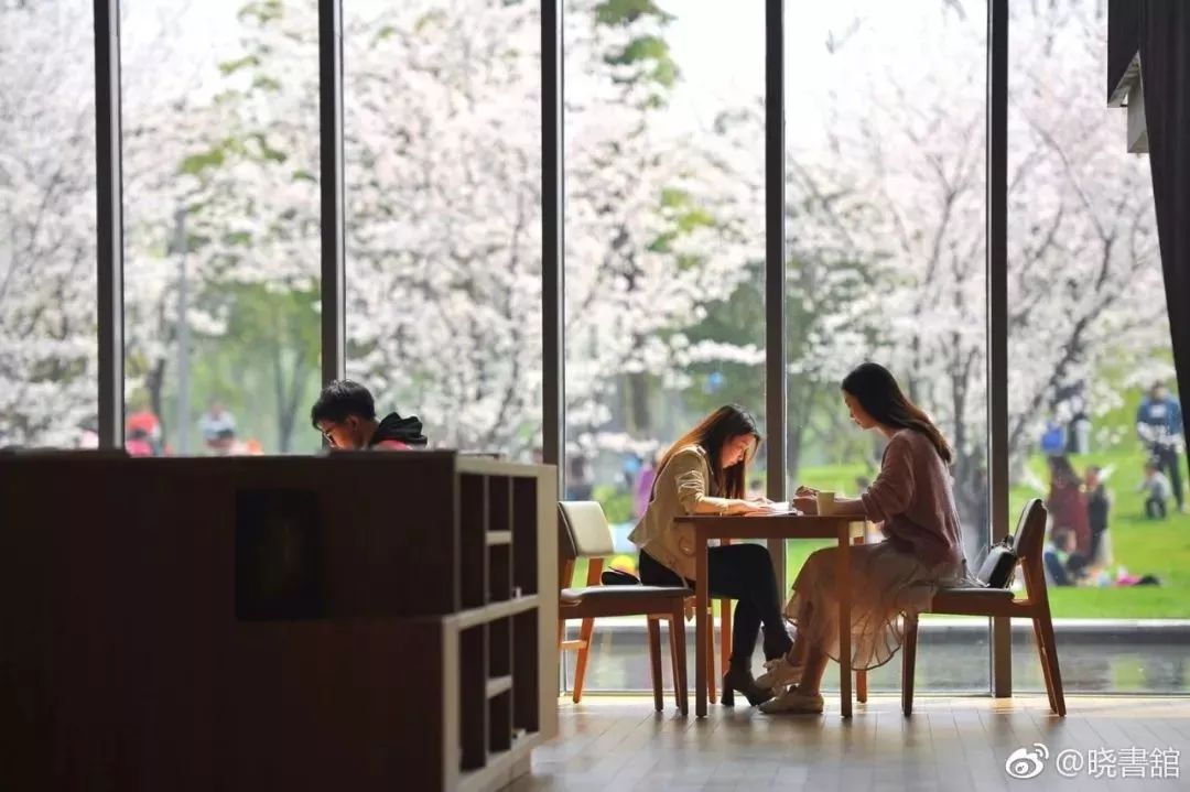 中国5个最美图书馆:阅读心灵的桃花源