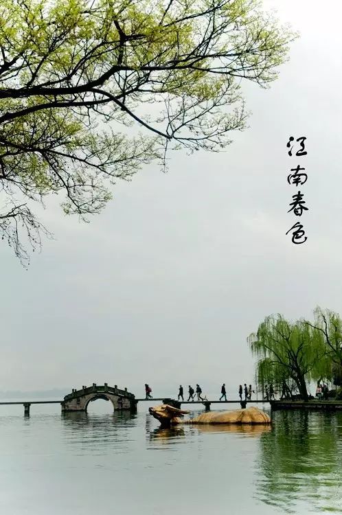 最美江南风景：人间最忆江南春