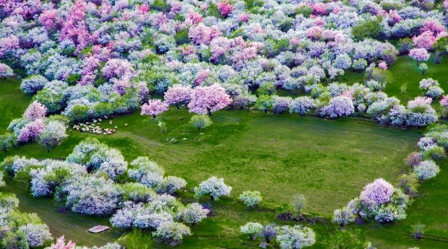 最美人间四月,诗情画意不可错失的风景推荐