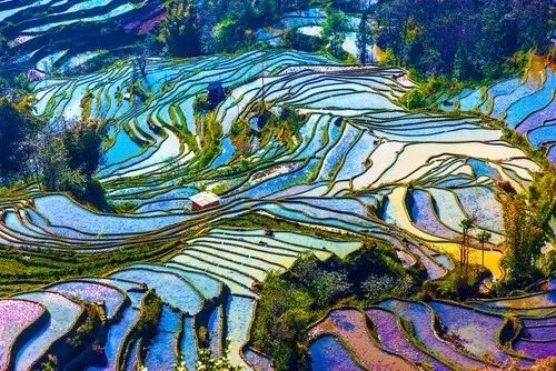 最美人间四月,诗情画意不可错失的风景推荐